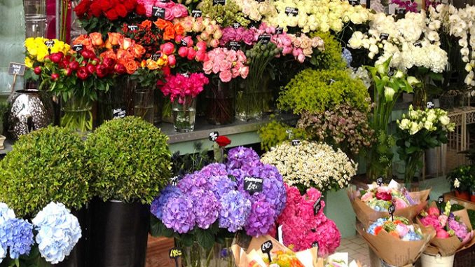 Shop hoa MiMi’s Flowers