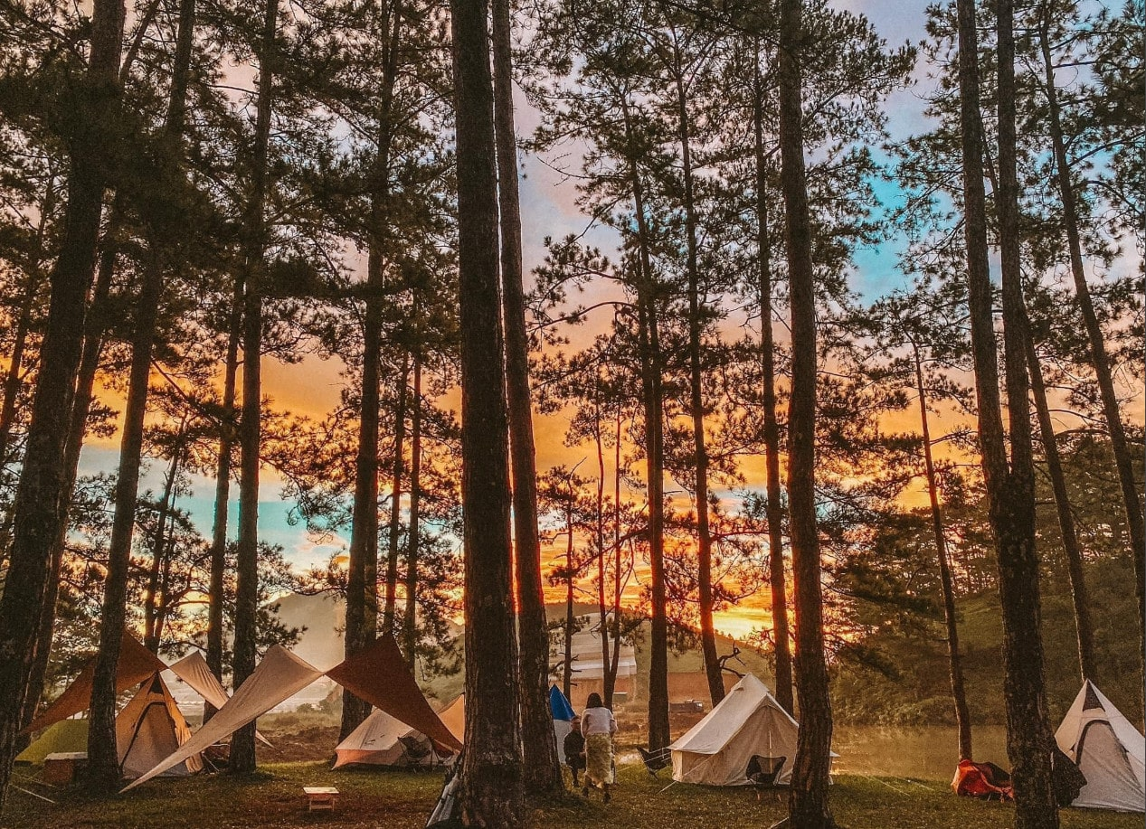 Cắm trại trong rừng thông Đà Lạt
