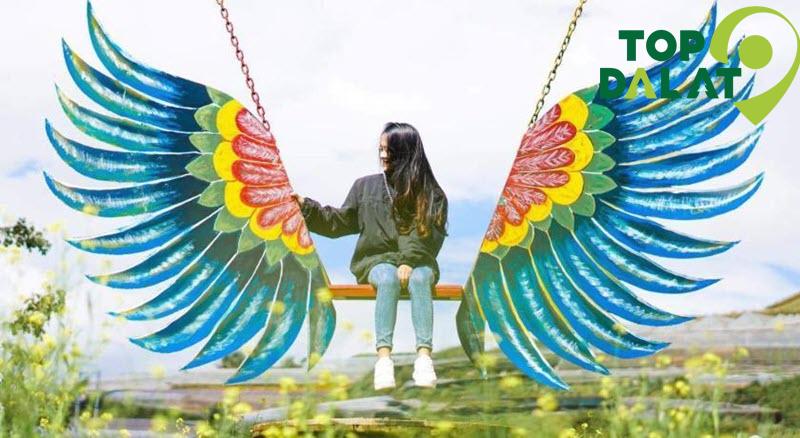 Bunnyr Hill Đà Lạt - Mỗi góc nhỏ đều trở thành bức ảnh nghệ thuật