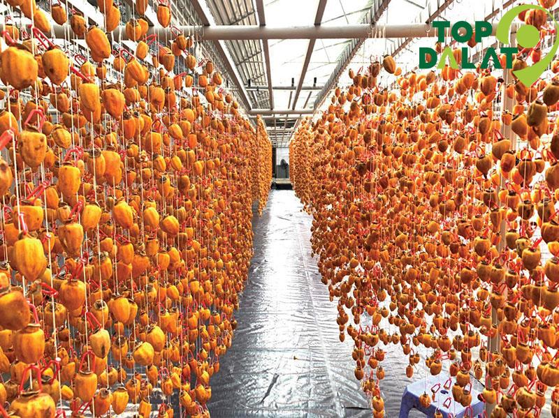 Nguồn Gốc và Ý Nghĩa Của Hồng Treo Gió