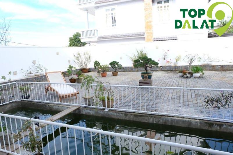 Lữ Tấn Inn