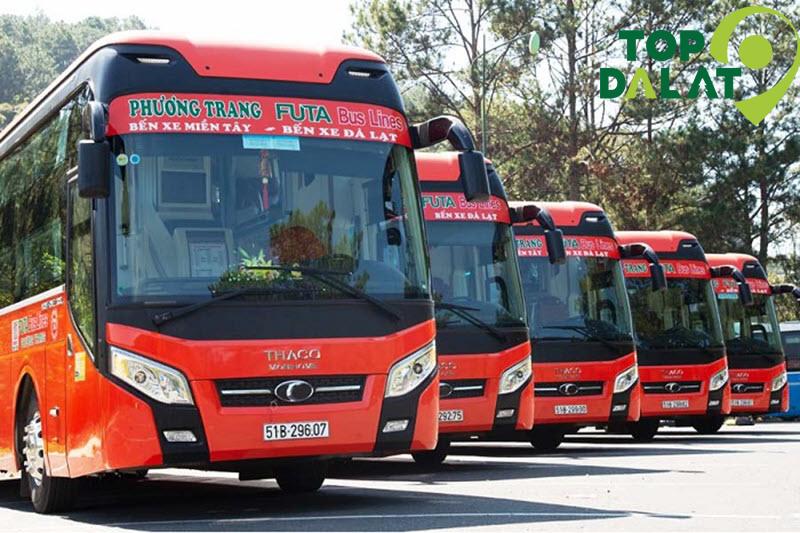 Phương Trang - tài xế chuyên nghiệp, xe sạch sẽ.