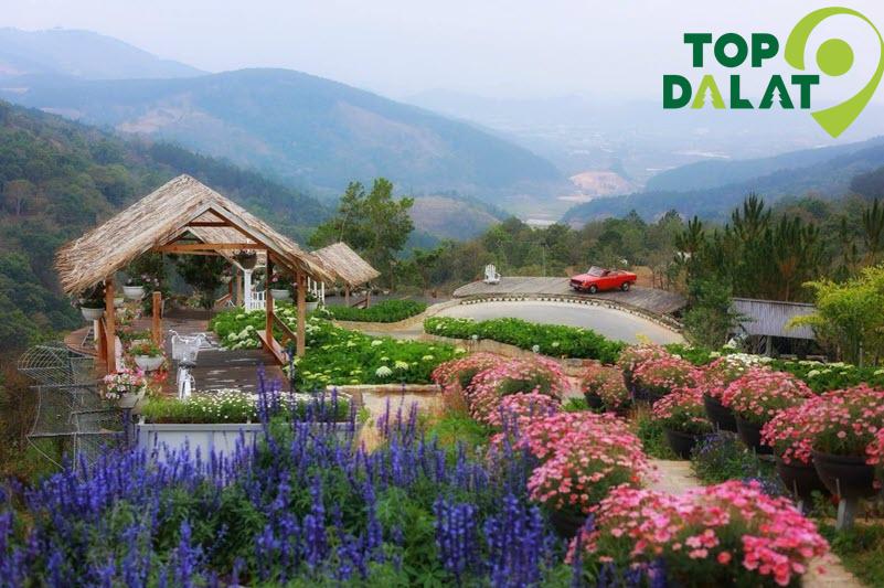 Giới Thiệu Về Cao Nguyên Hoa Đà Lạt