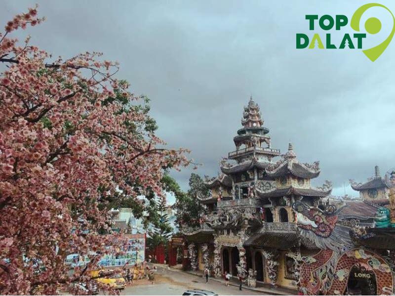 Giới thiệu tổng quan về chùa Linh Phước