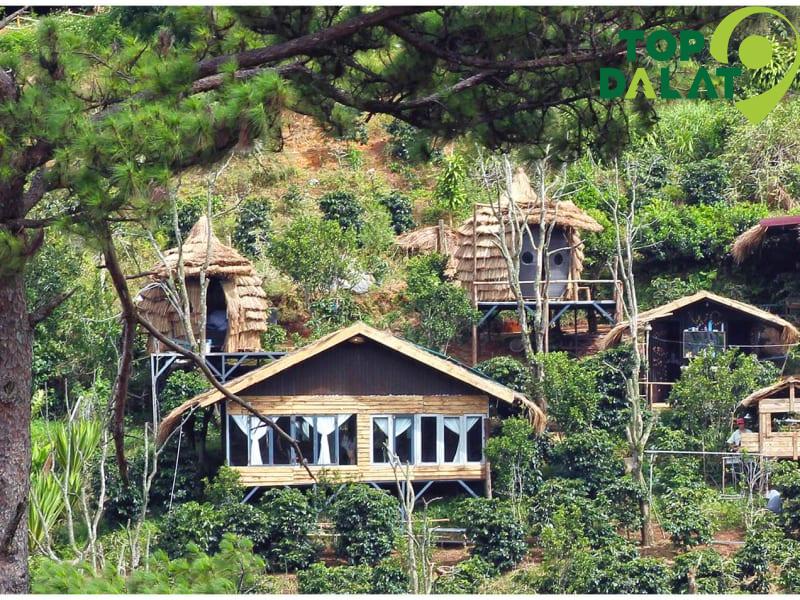 Cú Trên Cây Homestay – Tổ Chim Ngộ Nghĩnh