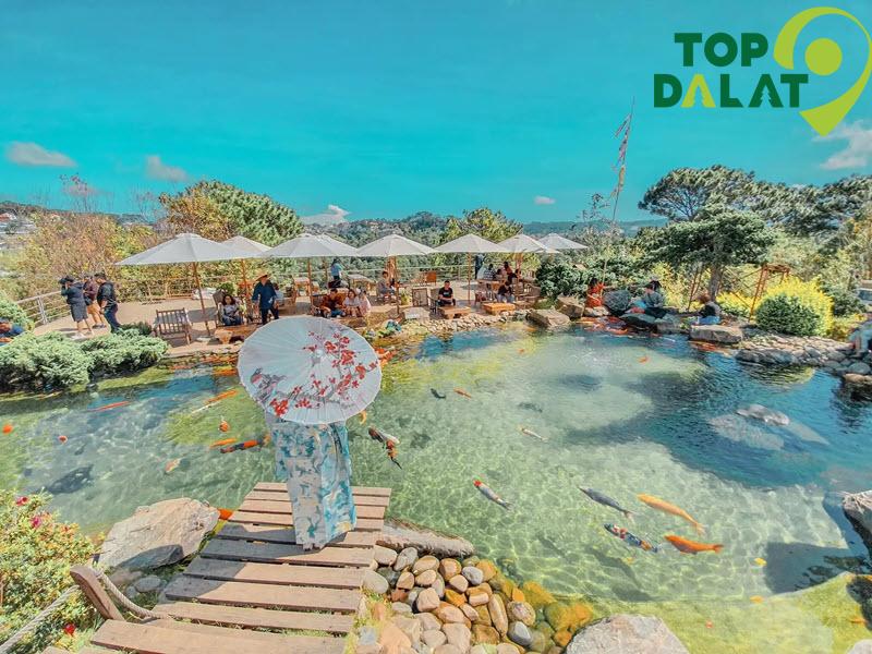 Hồ cá Koi, vườn bonsai – Không gian thư giãn tuyệt đẹp