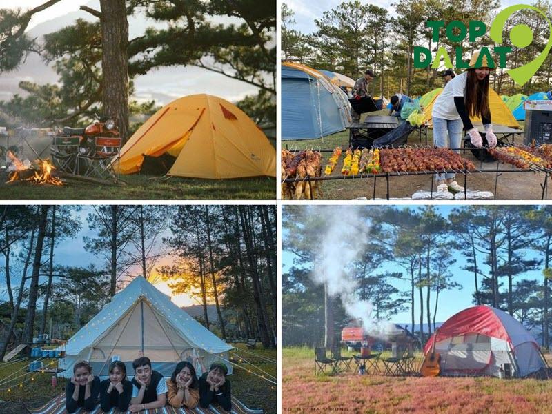 Thảm cỏ hồng vào mùa đẹp nhất trong năm – đừng bỏ lỡ!