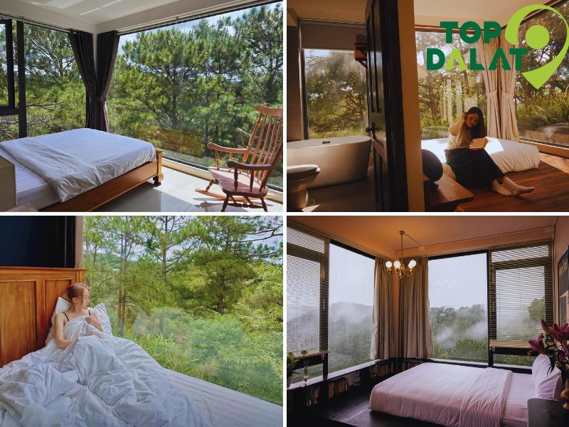 Các loại phòng và tiện nghi