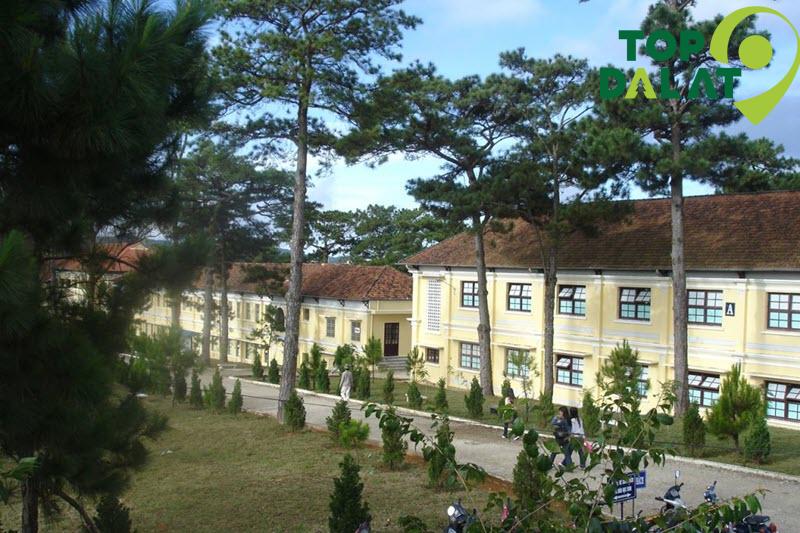 Chương Trình Đào Tạo Tại Trường Đại Học Đà Lạt