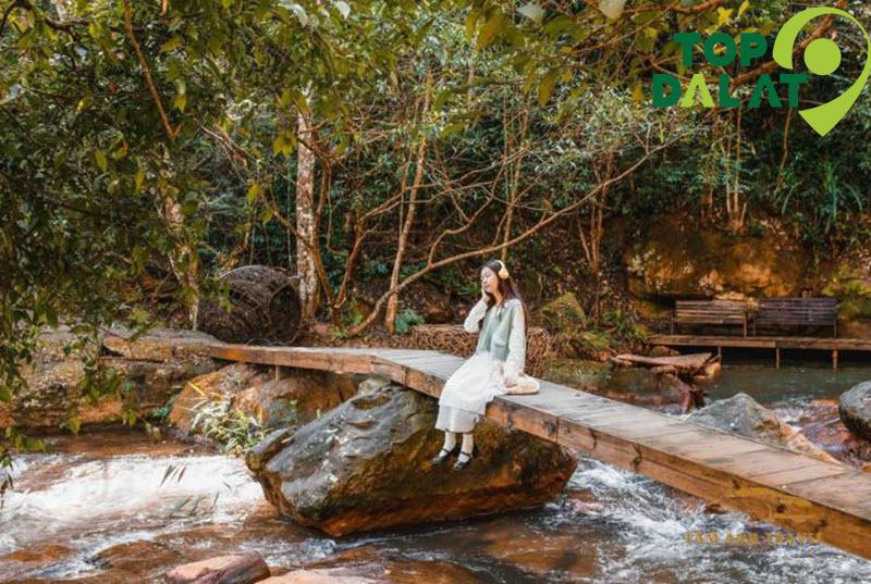 Cầu gỗ tại Vườn Địa Đàng Đà Lạt với dòng Suối Mơ trong veo, rừng thông xanh mát.