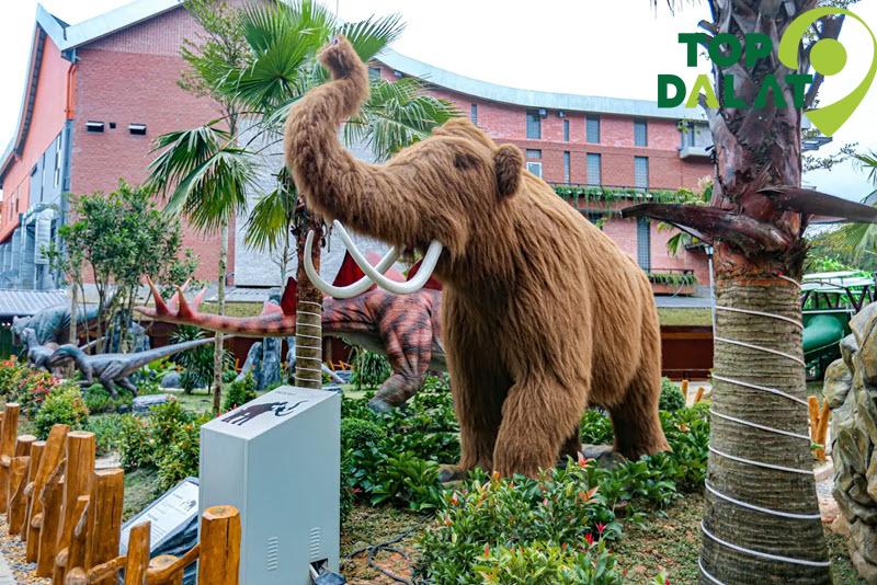 Trải nghiệm nổi bật tại Langfarm Center