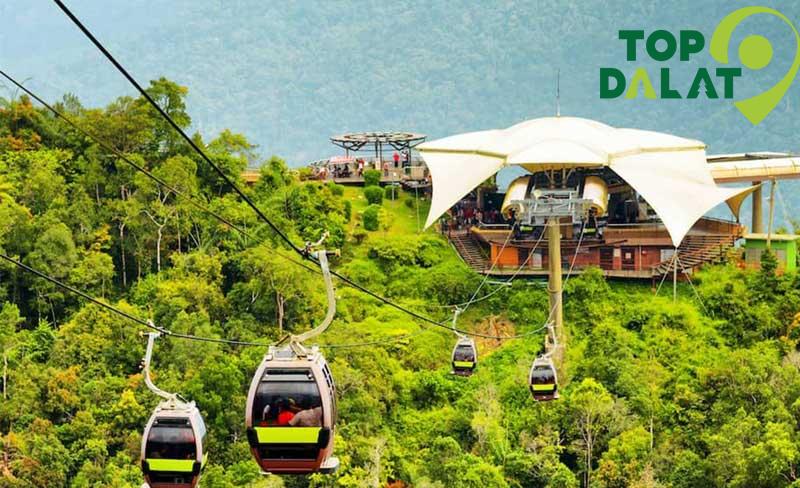Kinh nghiệm tham quan Khu Du Lịch Cáp Treo Đà Lạt