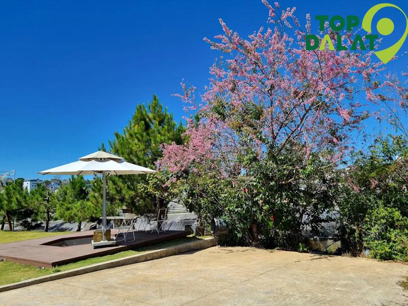 Khu vườn xung quanh villa sẽ là nơi lý tưởng để bạn đi dạo hoặc tổ chức những buổi picnic ngoài trời