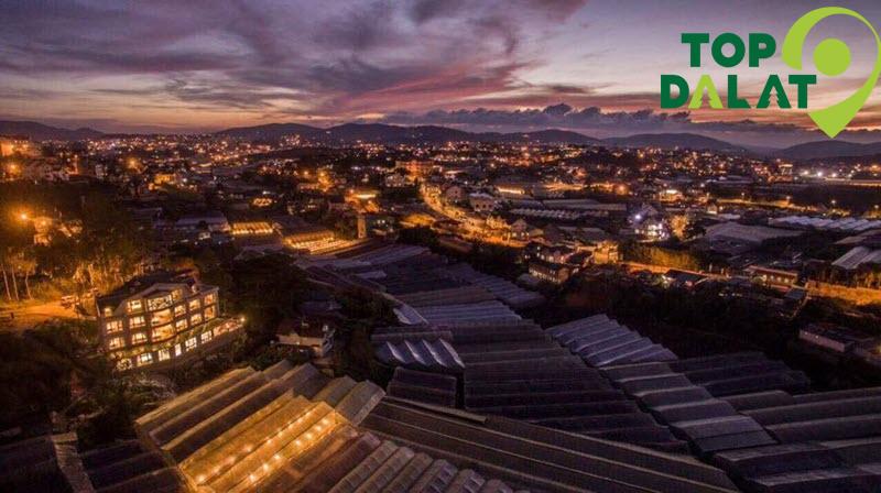 Starview Villa Đà Lạt Ngoại Cảnh