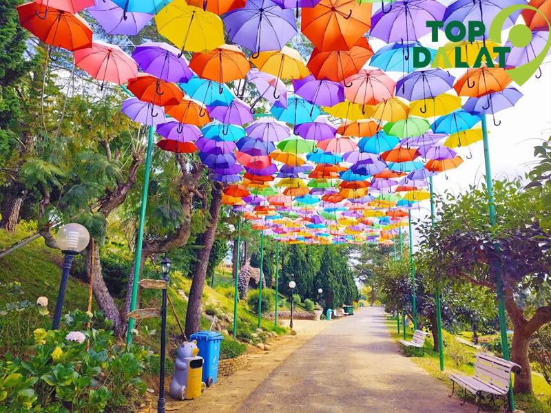 Thời điểm và thời tiết nên đến vườn hoa đà lạt