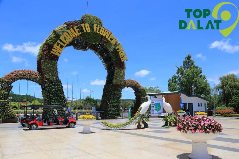 Giới thiệu chung & Lịch sử hình thành vườn hoa đà lạt
