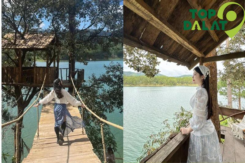 Nhà trên cây – View toàn cảnh hồ Tuyền Lâm