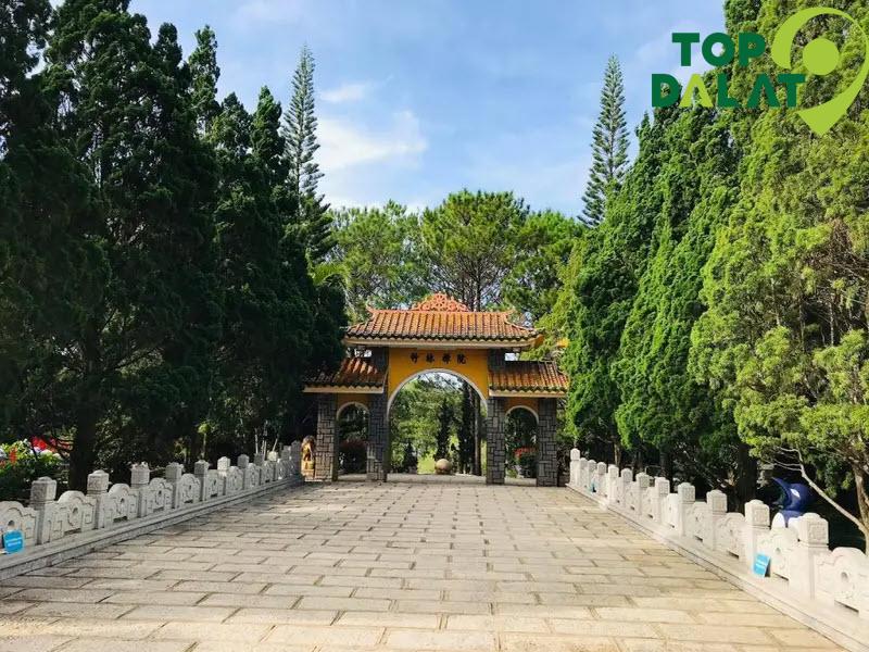 Vườn hoa và rừng thông – Thiên nhiên thơ mộng