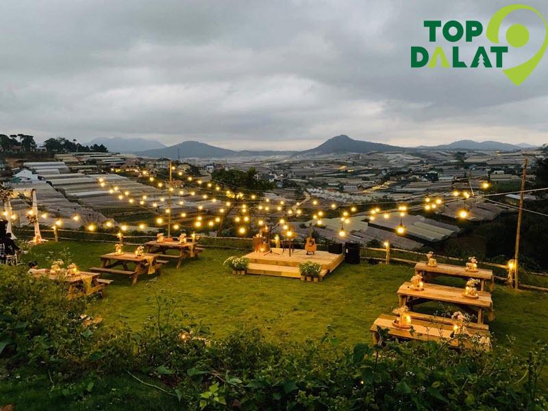 Túi Mơ To – Vườn cúc họa mi lãng mạn
