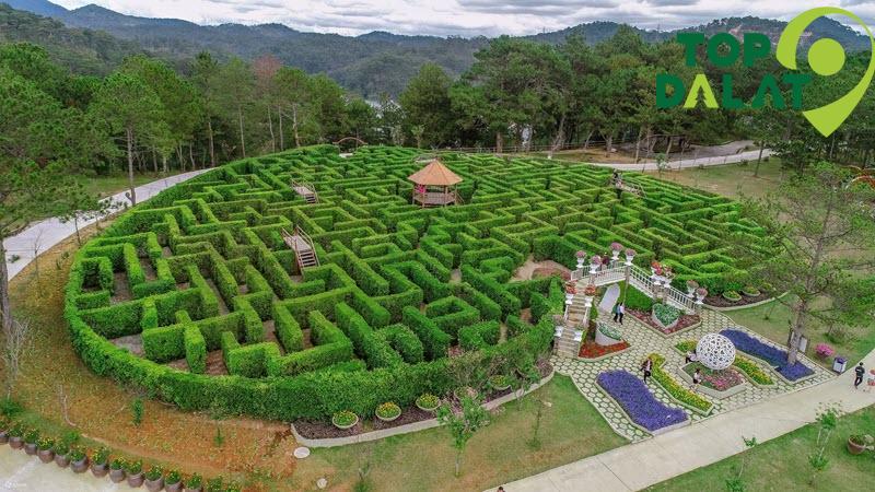 Mê cung tình yêu – thiết kế độc đáo bằng cây xanh – là nơi lý tưởng cho các cặp đôi.